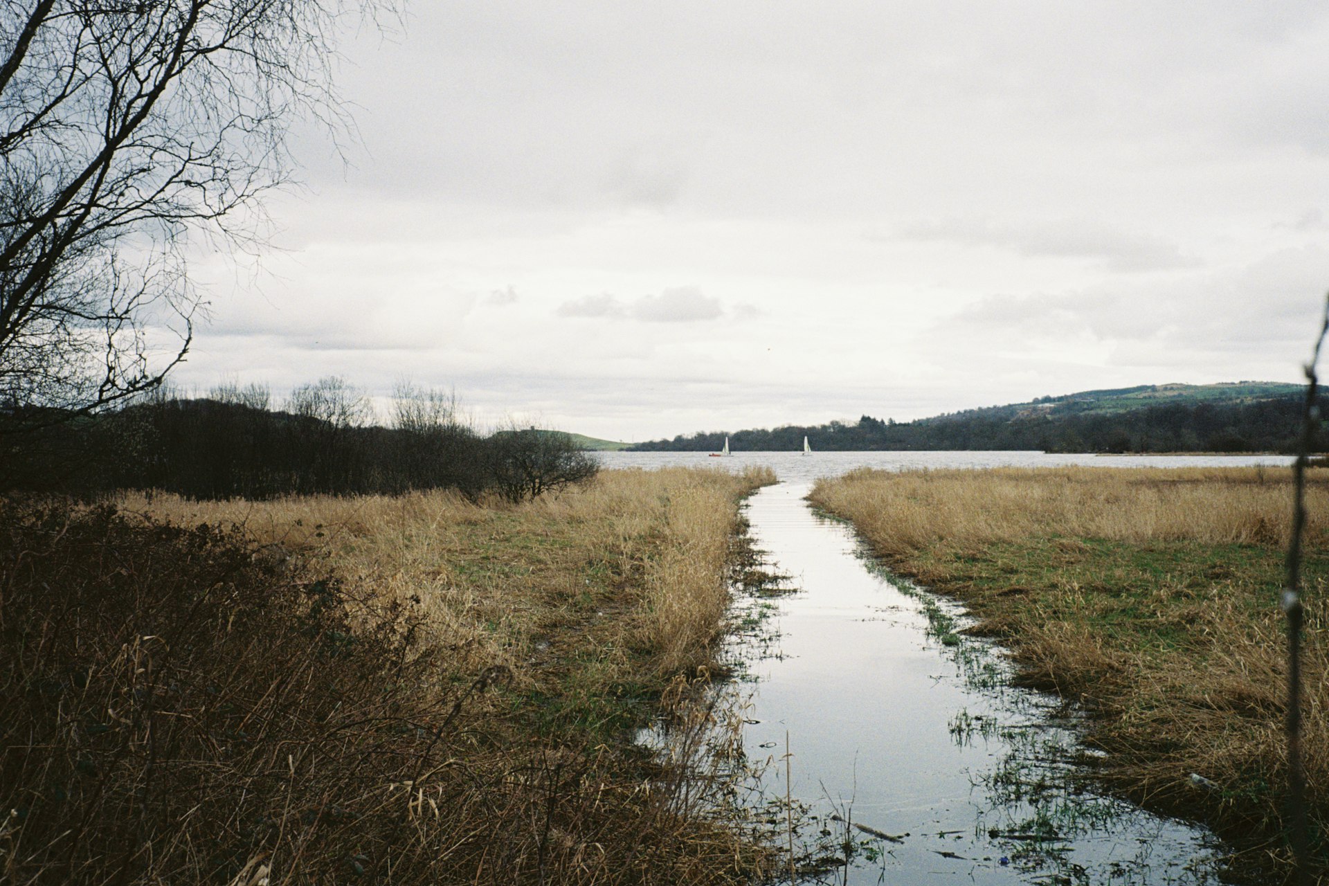 A lake