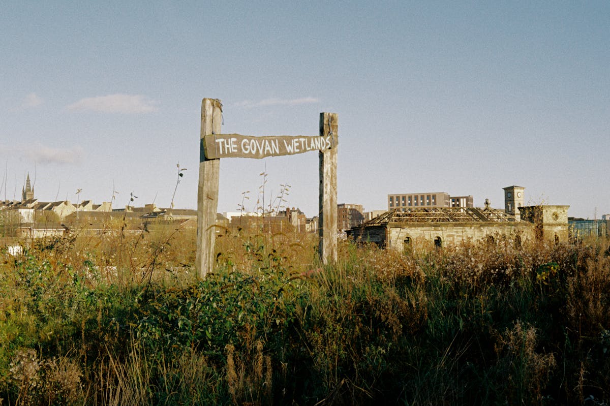 A sign that says 'The Govan Wetlands' painted on scrapwood