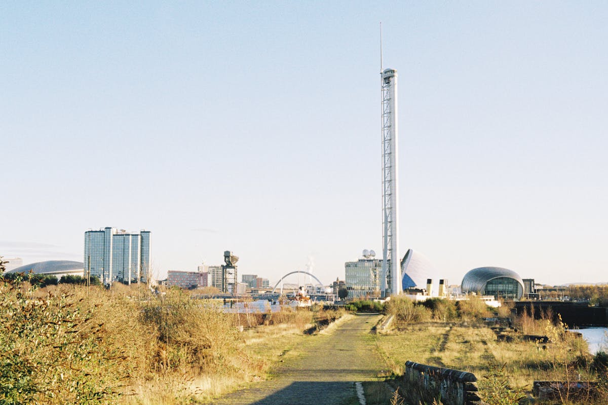 A city skyline beyond an overgrown pier