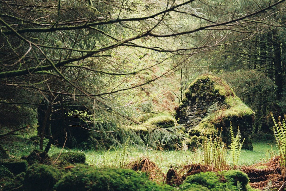 The ruins of a stone house in the forest.