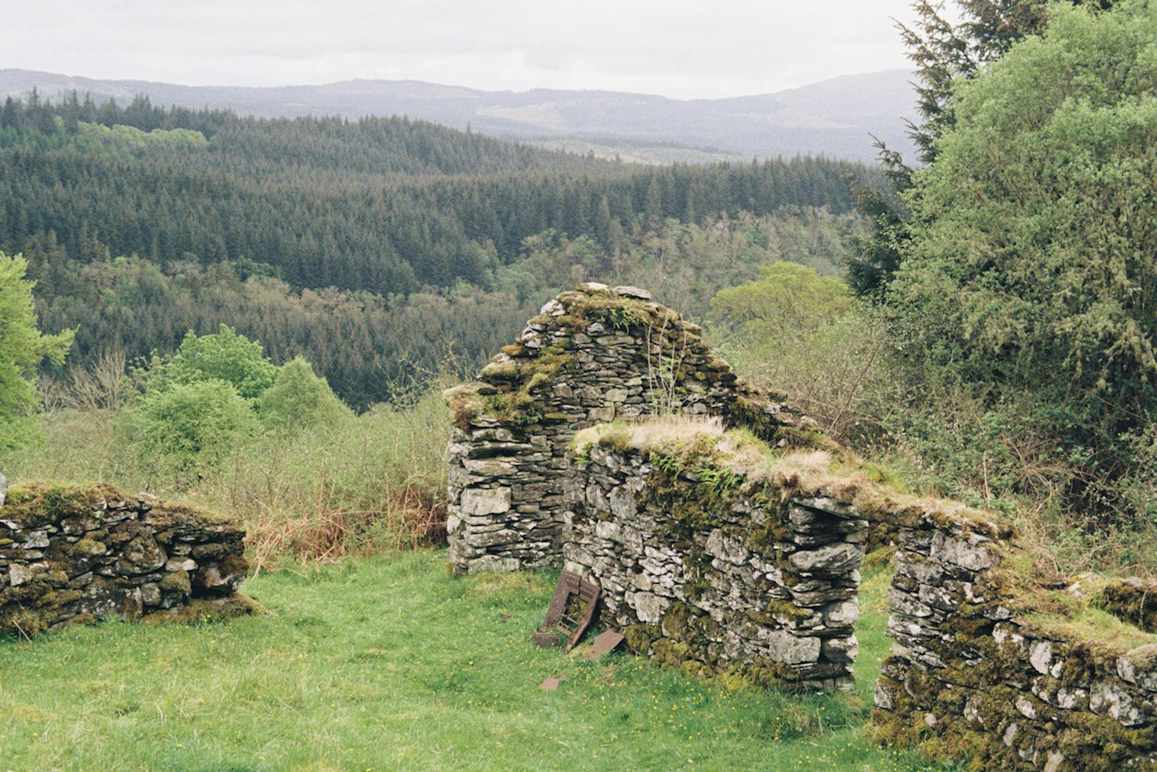 A fireplace heath in the ruin of an old house