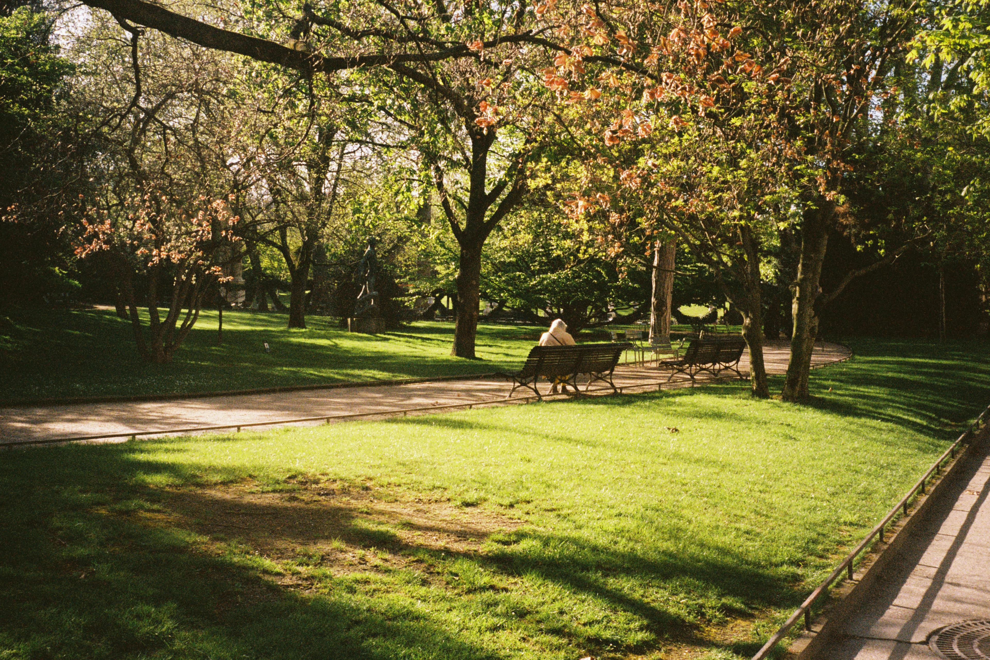 A woman sitting in the park
