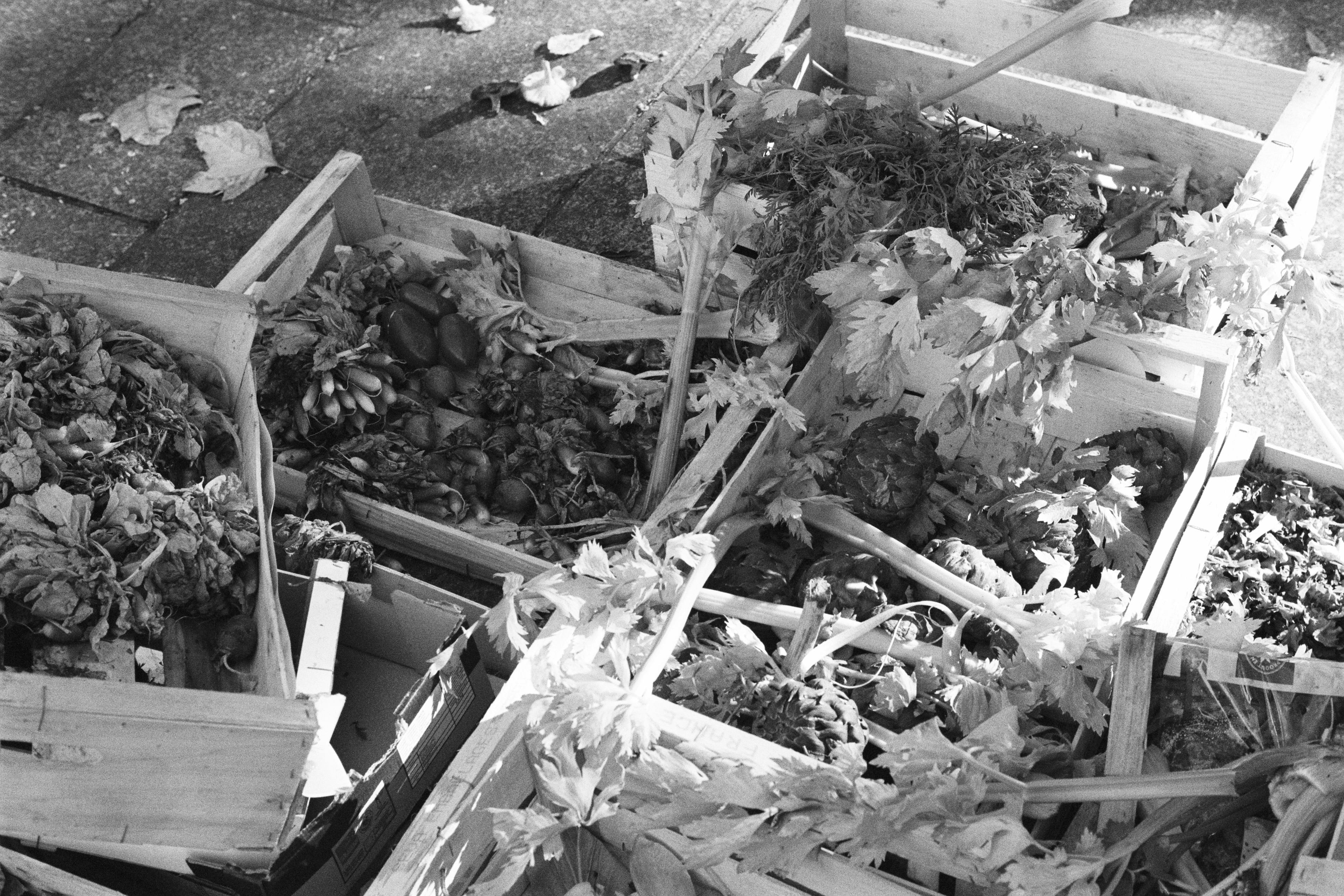 Boxes of fruit on the ground