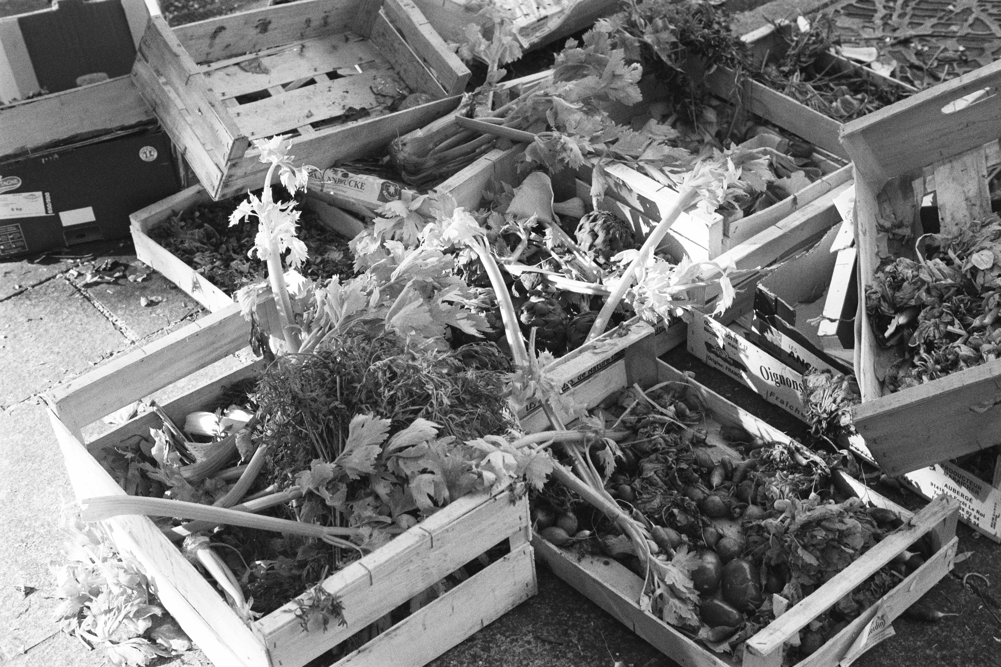 More boxes of fruit on the ground