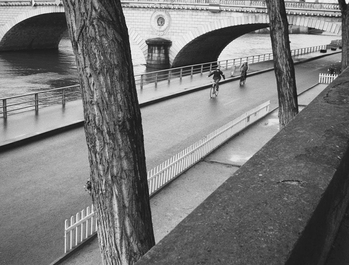 A cyclist rides down the quay of the Seine