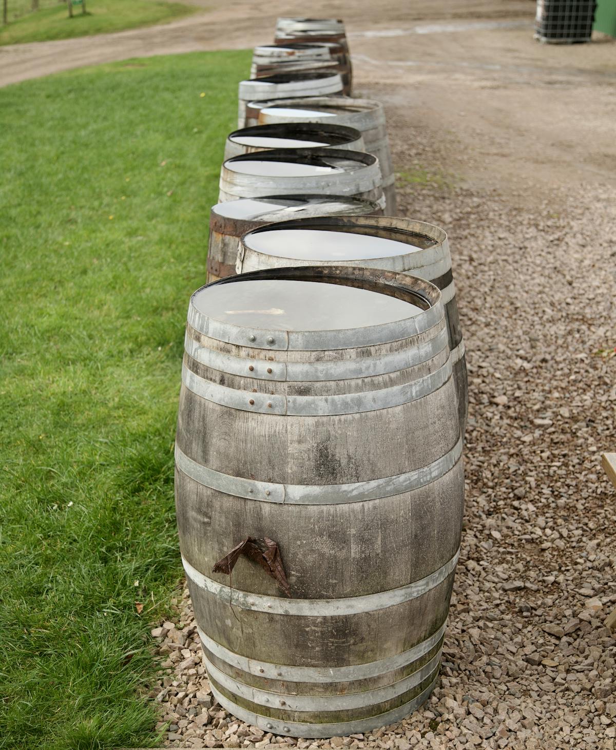 A row of whisky barrels
