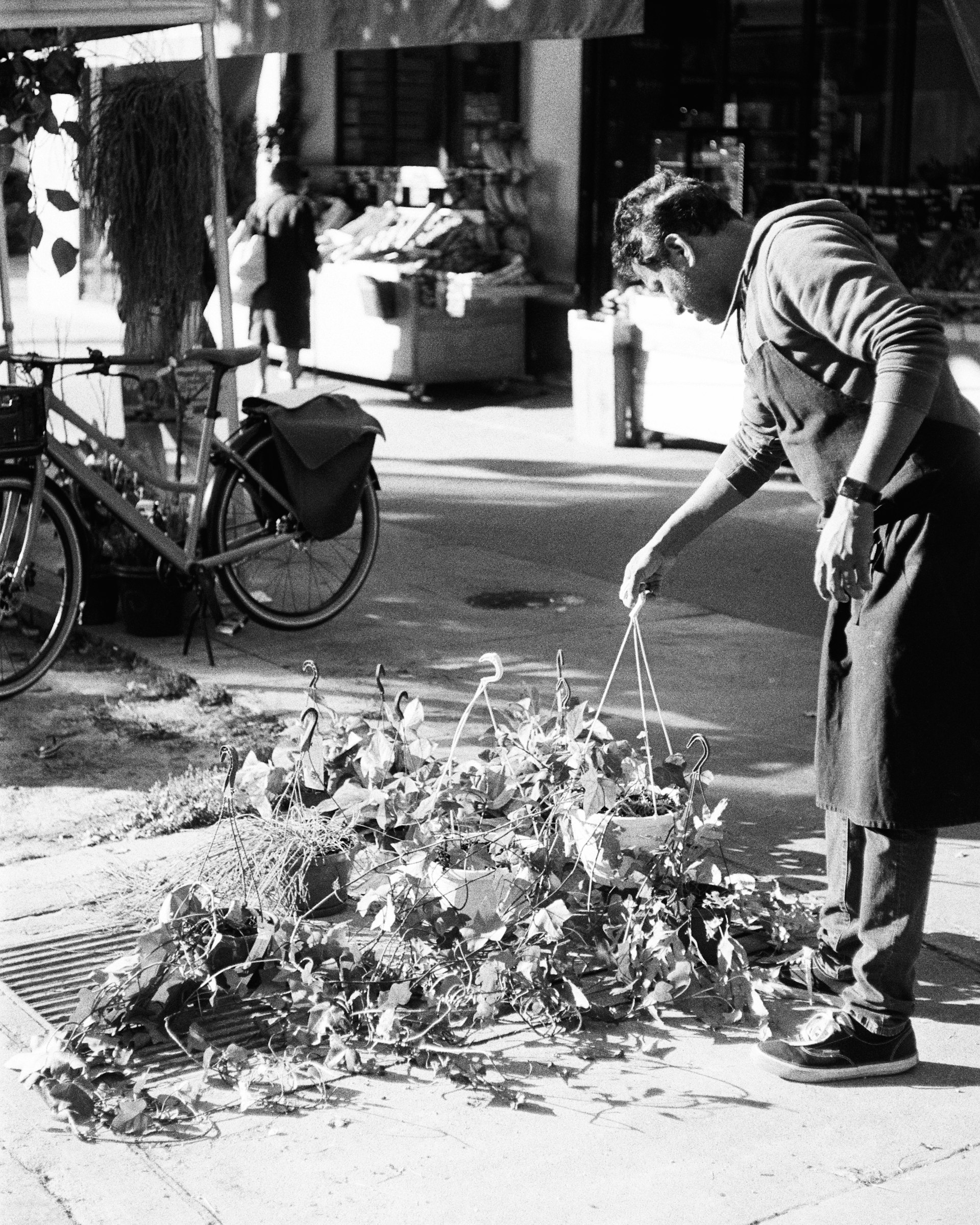 A man arranging plants on the sidewalk